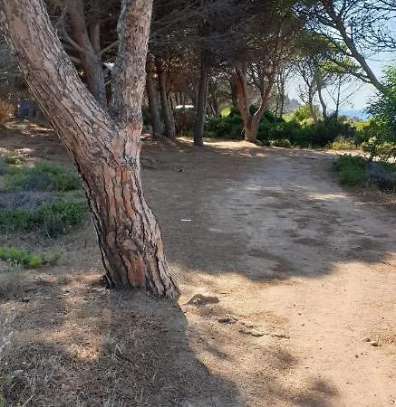 Casa Vacanze Calarossa بيت للعطل ايزولا روسا
