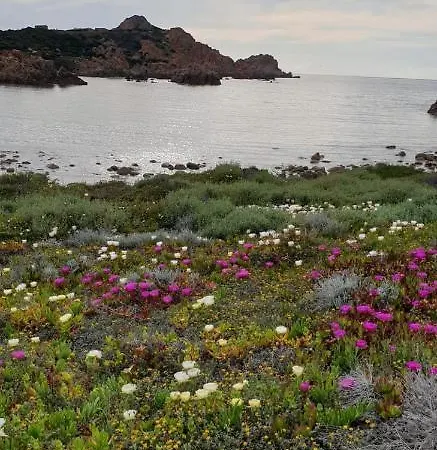 بيت للعطل Casa Vacanze Calarossa *